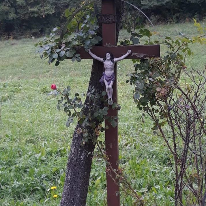 44433171_2392222494124482_42569512519729152_n